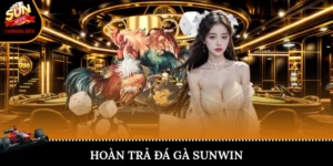 hoàn trả đá gà