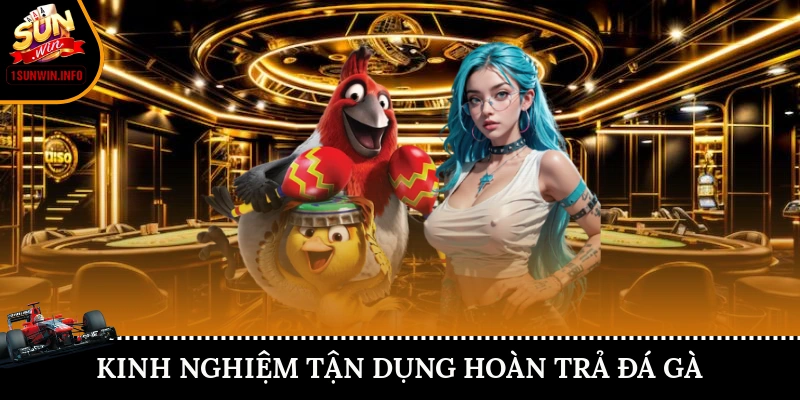 Kinh nghiệm tận dụng hoàn trả đá gà