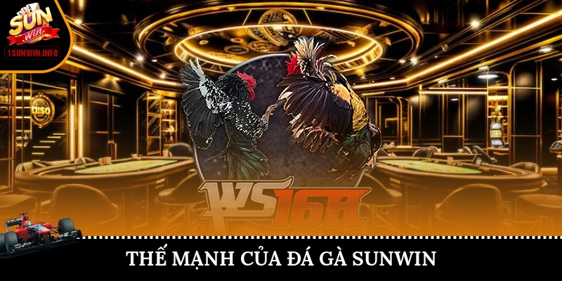 Thế mạnh của đá gà Sunwin